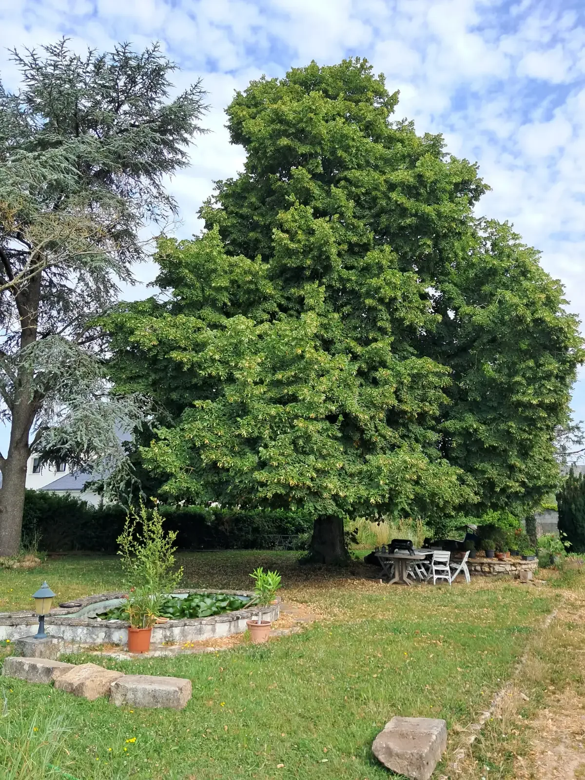 Photo du logement à Mettray (37390)