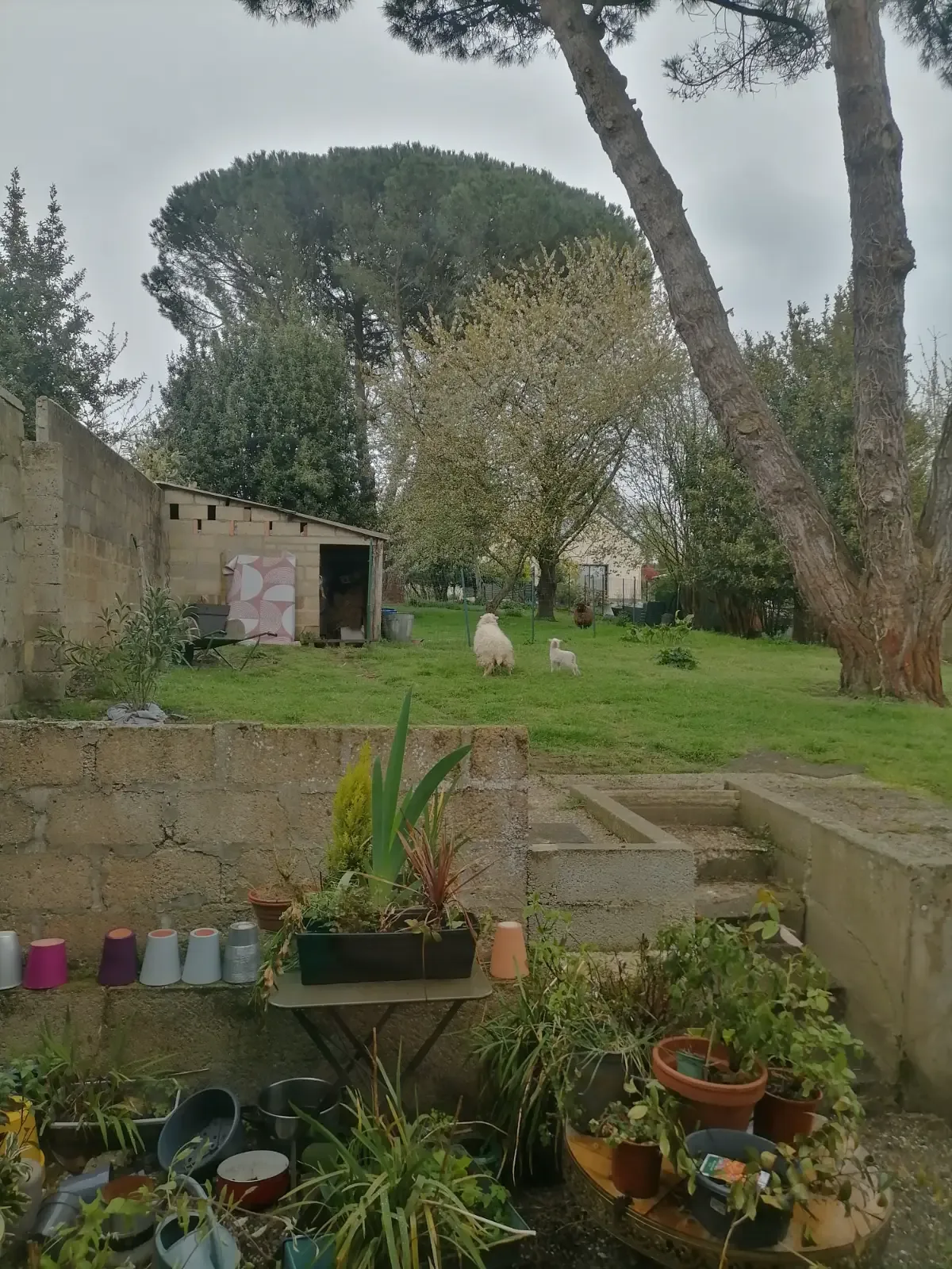 Maison en colocation à Ploërmel (56800)