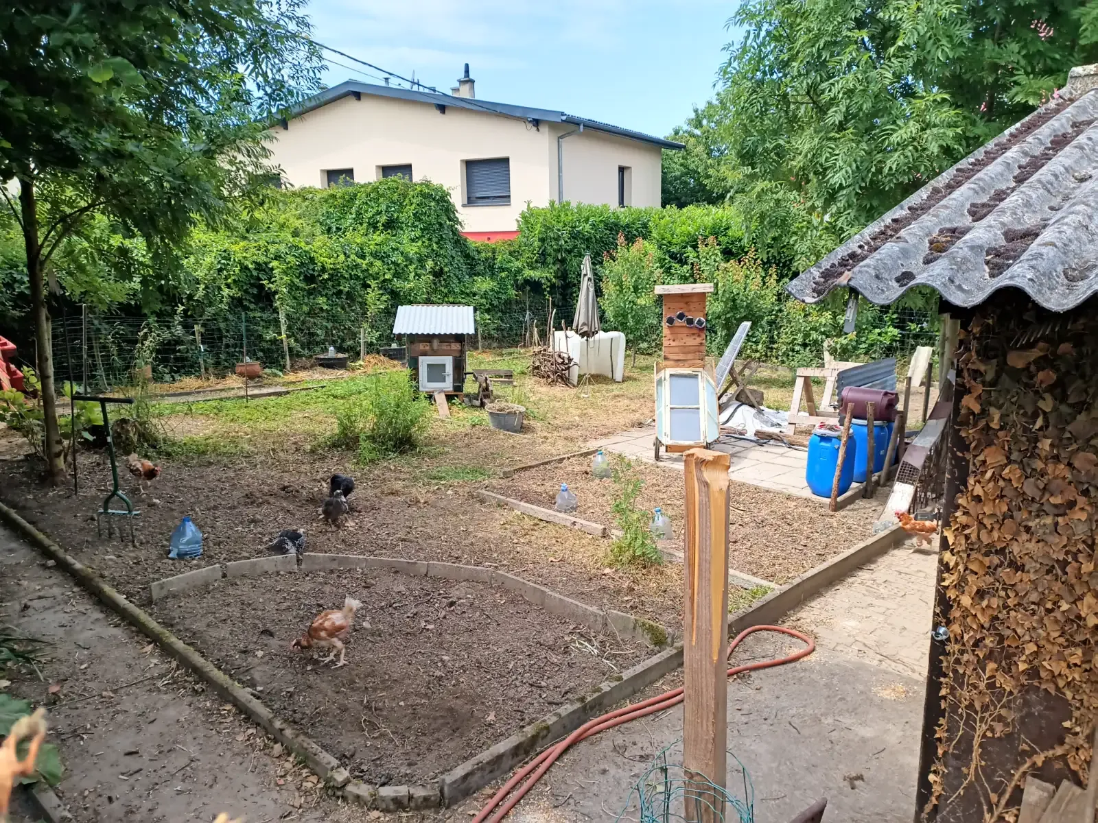 Photo du logement à Morschwiller-le-Bas (68790)
