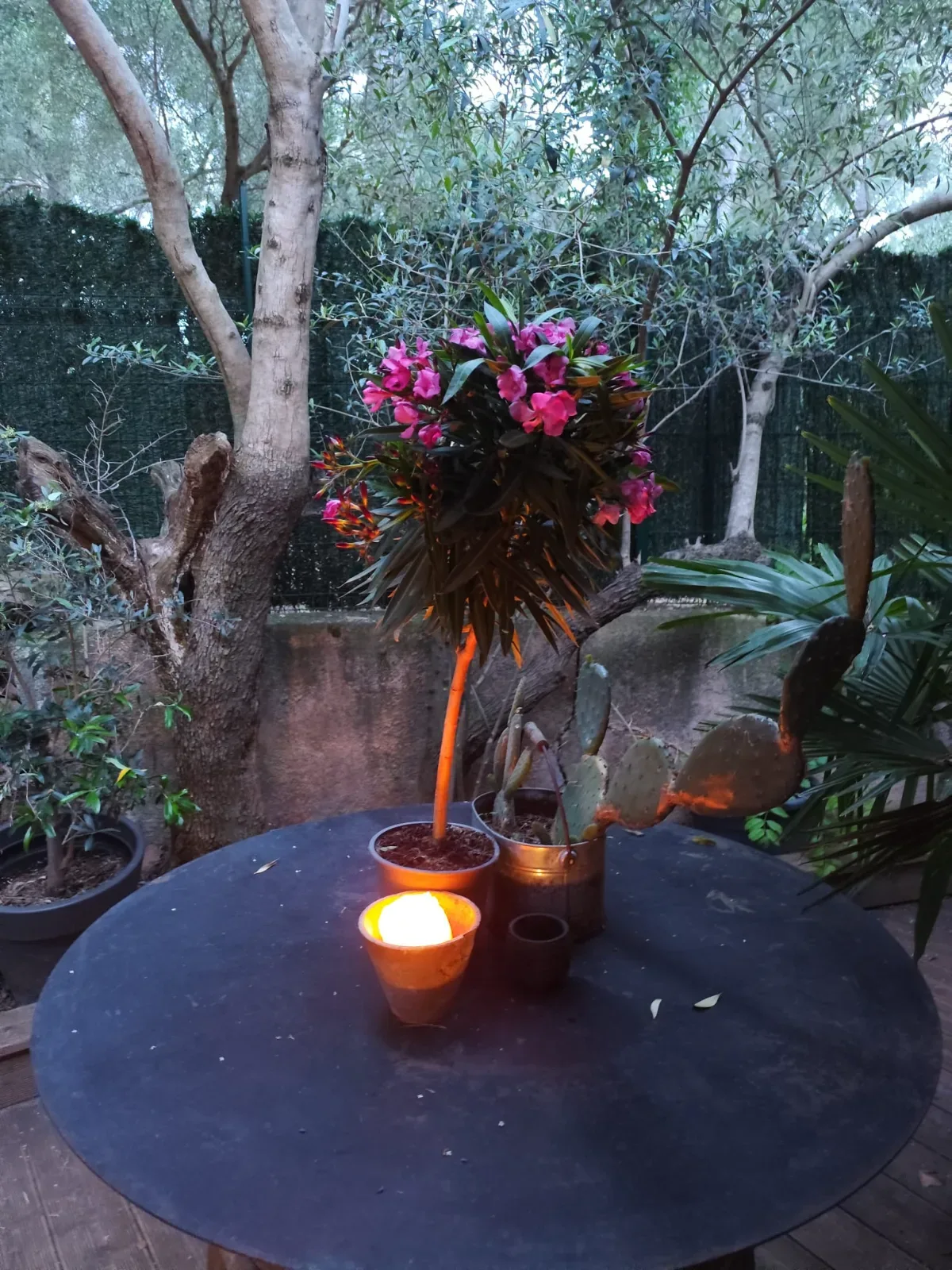 Maison en colocation à Hyères (83400)